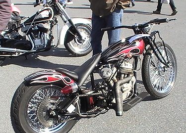 radical chopper RR Oley